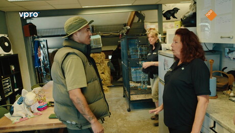 Wilde Buren | Mobiele knuffelboerderij